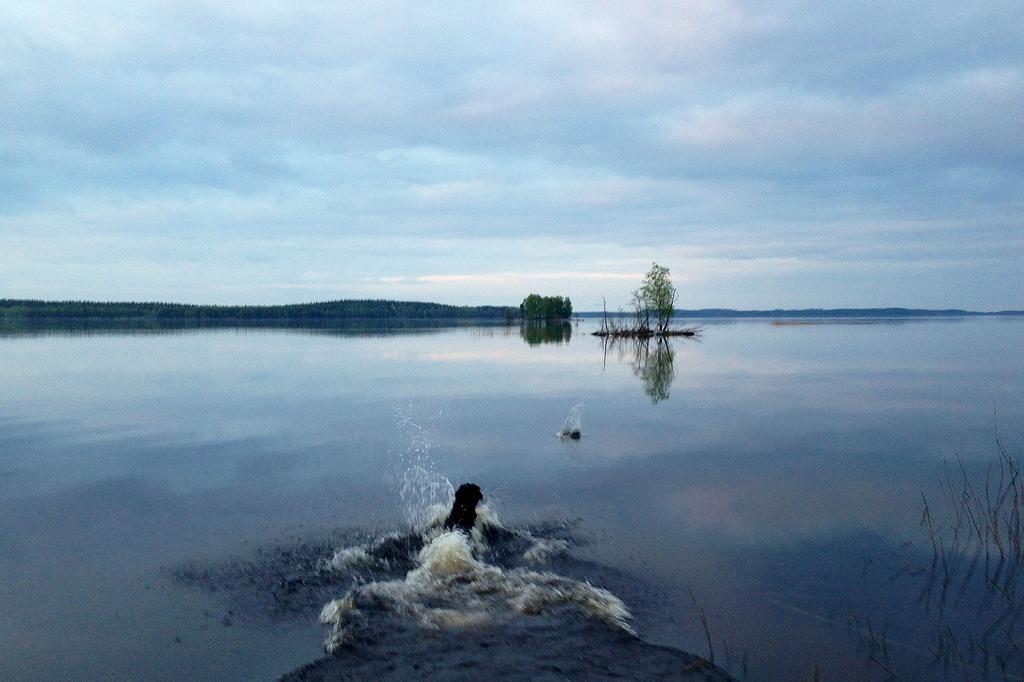 Bed and Breakfast Paksuniemen Majatalo Rääkkylä Exterior foto