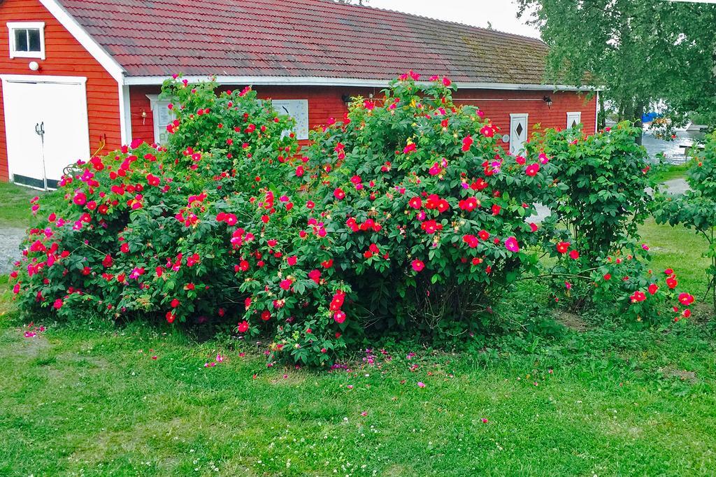 Bed and Breakfast Paksuniemen Majatalo Rääkkylä Exterior foto